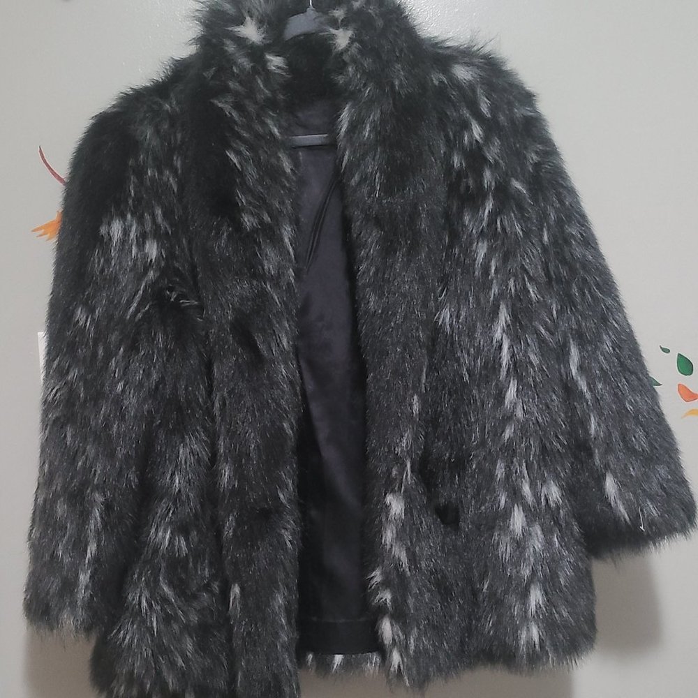 Shiny Black with Tints of White Stripes Fur Coat